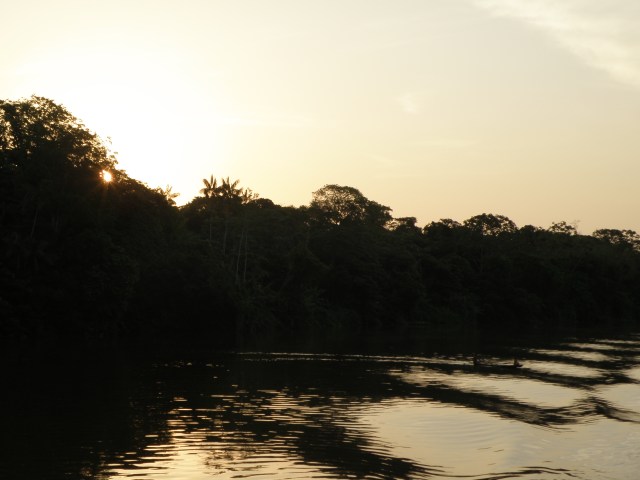River Amazon